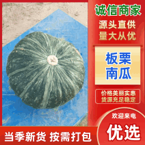 【精品】板栗南瓜物美价廉大量供应各大电商平台品质保障