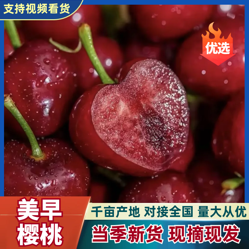 【精品】美早樱桃大量上市产地直发高品质低价格！