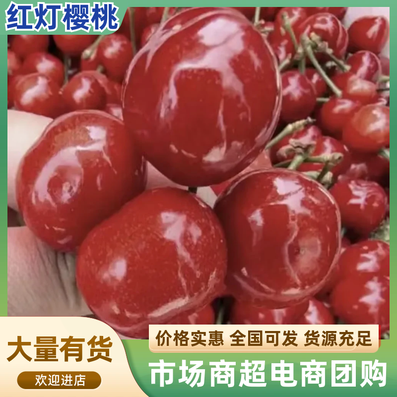【精品】红灯樱桃大量上市对接全国罐头厂酿酒厂电商！