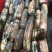 洪湖莲藕粉藕现采现发基地直供欢迎咨询量大价优