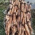 洪湖莲藕粉藕现采现发基地直供欢迎咨询量大价优