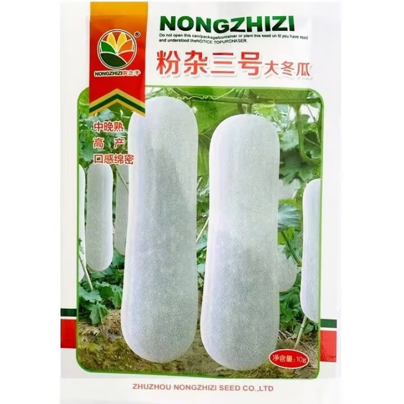 粉杂三号大冬瓜种子中晚熟粉皮大冬瓜种籽长圆柱形白皮大冬瓜