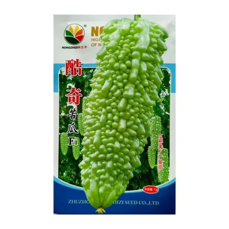 酷奇苦瓜种子中迟熟白玉珍珠绿苦瓜种子高产春秋蔬菜种籽