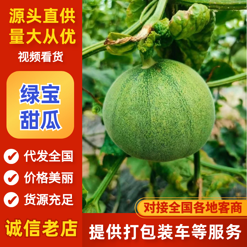 精品盐湖绿宝甜瓜头茬大量上市口感脆甜可视频看货