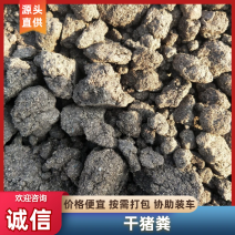 干猪粪自然风干，基地直发蔬菜果树专用改良土壤