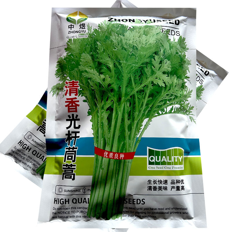 青香光杆茼蒿种子生快速清香耐热耐寒产量高大田基地型