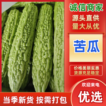白苦瓜，青苦瓜，都是产地看货论价，一手货源，欢迎订购！