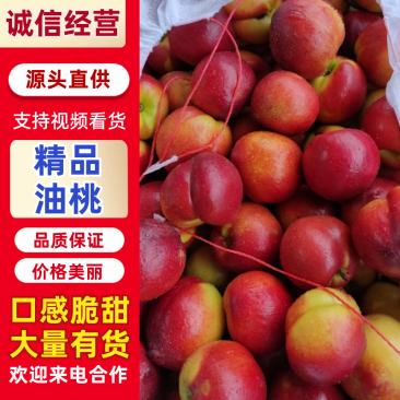 中油油桃金蕾小红桃大量上市，口感脆甜，现场采摘