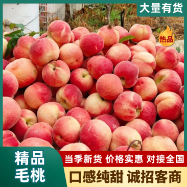 毛桃小红桃红不软突围大量上市。果园看货采货
