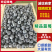 辽宁蓝莓北陆蓝莓大量供应产地直供一手货源品质保证诚信经营