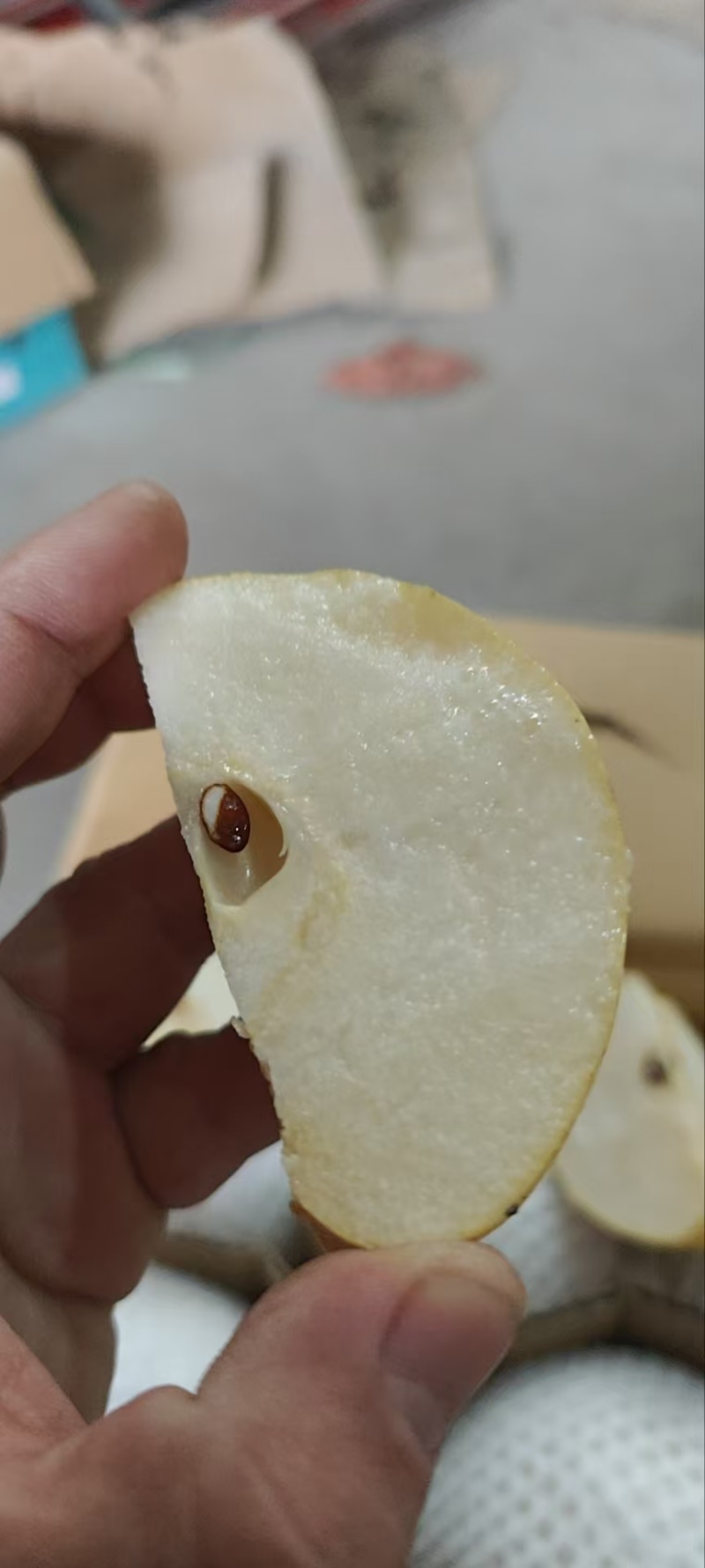 精品雪花梨60品质保证诚信经营可对接商超欢迎咨询