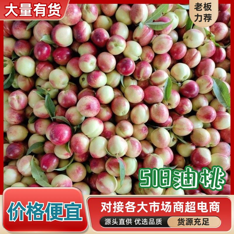 《518油桃》湖北随县产地/现摘现发/规格齐全/代发全国