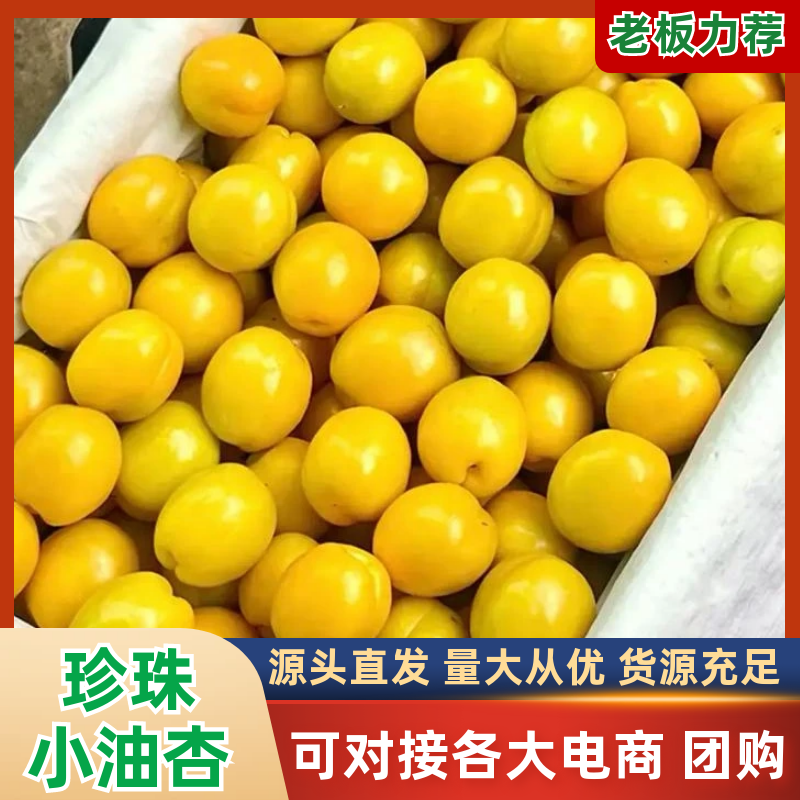 油杏/小白杏【一件代发】新鲜现货速发/电商～团购～代发