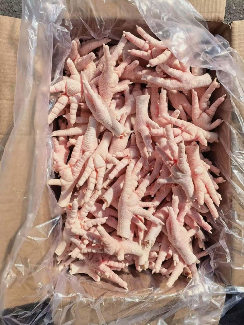 凤爪品质稳定货品充足专业服务欢迎咨询品质口感