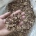 批发鹿角灵芝切片整切红灵芝草片煲汤泡酒养生茶原料