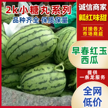 早春红玉，2K小吊瓜冰激淋西瓜牛奶吊瓜产地现货