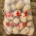 沃土5号黄心土豆个大，黄心，产地直发，四两起步
