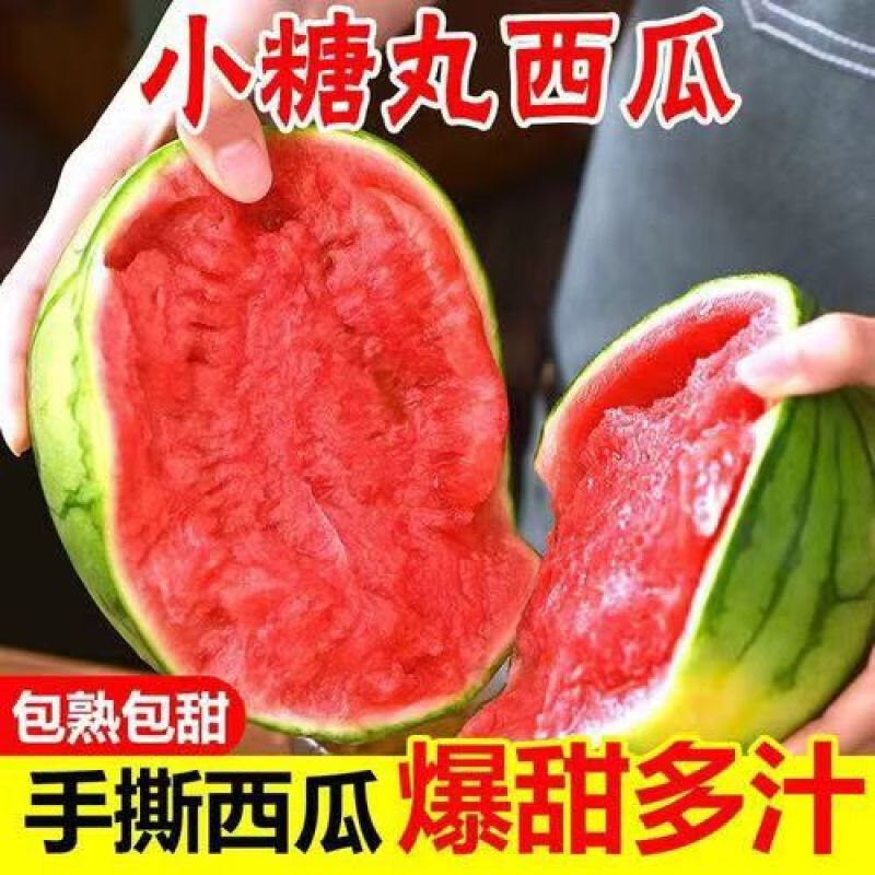 陕西全美2k西瓜皮薄瓤口好头茬熟度刚好有纸箱托盘