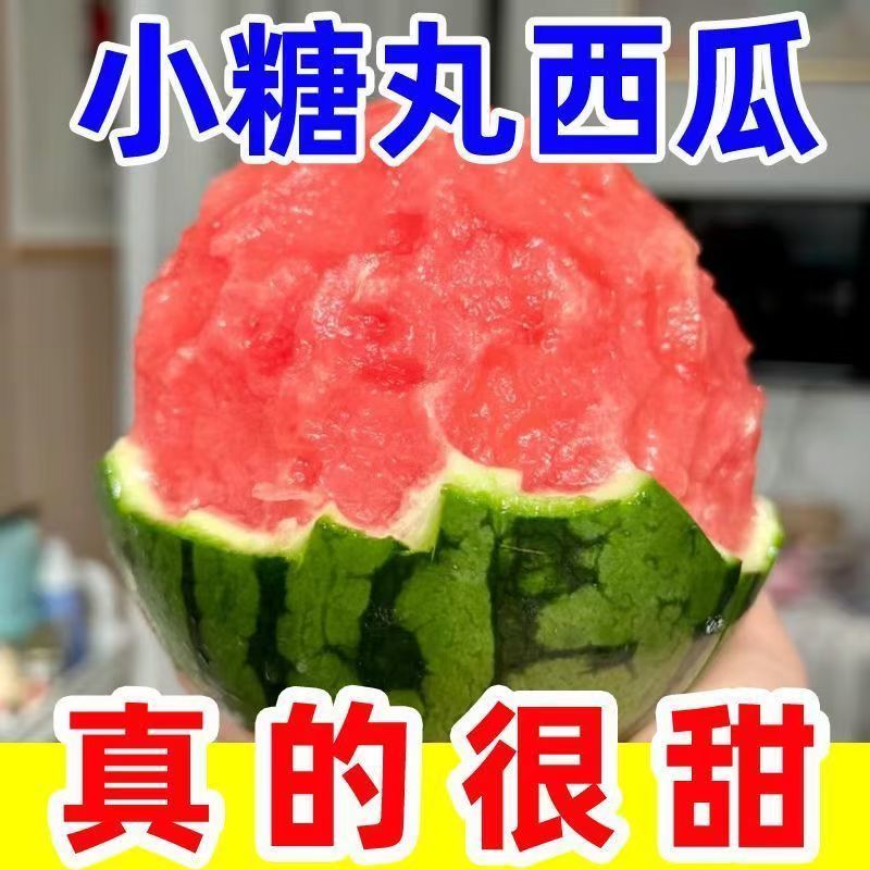陕西全美2k西瓜皮薄瓤口好头茬熟度刚好有纸箱托盘