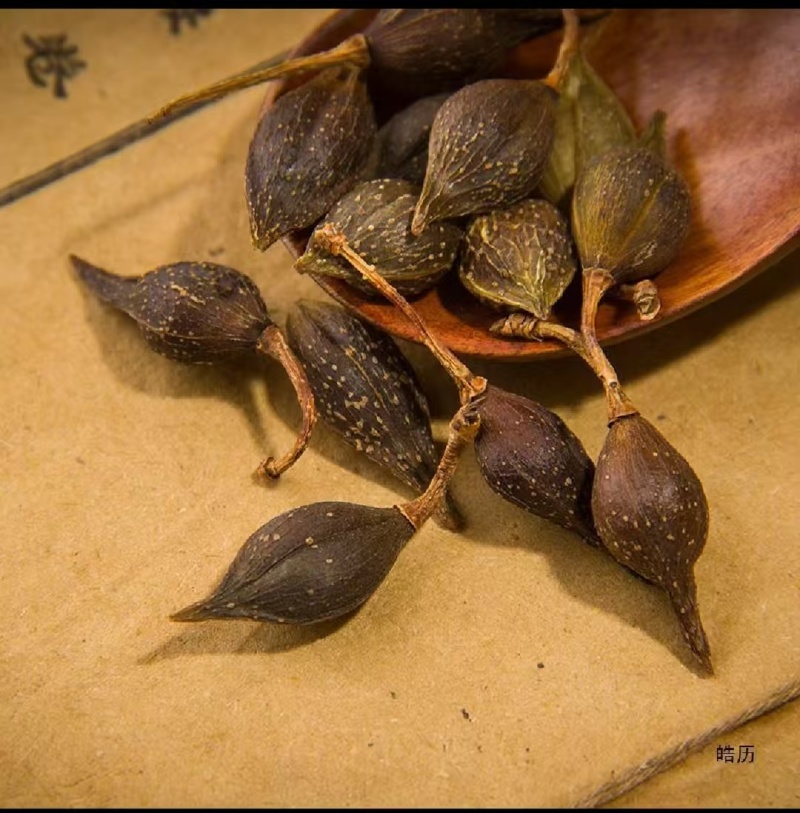 连翘