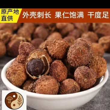 砂仁壳砂仁