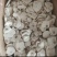 茯神茯神木，40斤优惠价格（偏远地区除外）