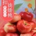 山东纽扣油蟠桃货好价格低承接电商团购一件代发