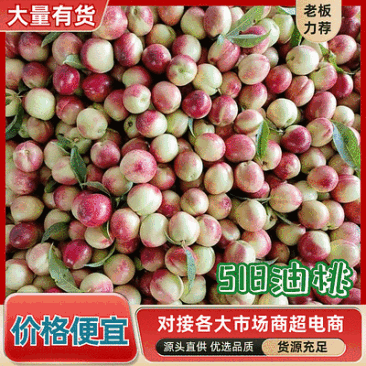 《518油桃》湖北随县产地/现摘现发/规格齐全/代发全国