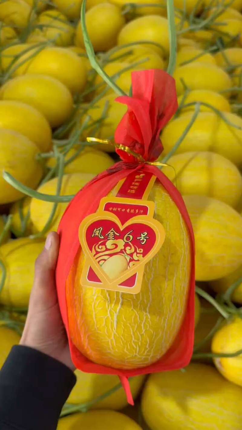【推荐】安阳滑县精品哈密瓜凤金6号/货源充足价格便宜