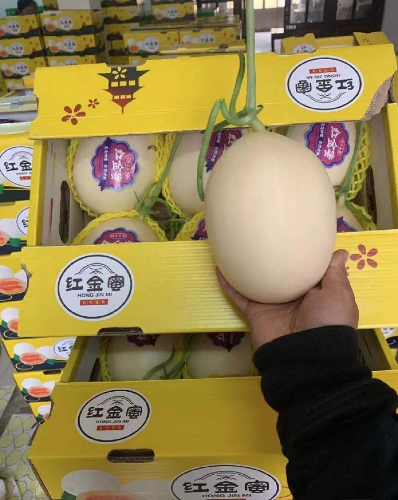 【热卖】安阳精品红金蜜甜瓜/货源充足价格实惠欢迎来电