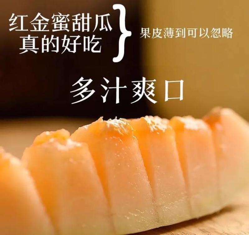 【热卖】安阳精品红金蜜甜瓜/货源充足价格实惠欢迎来电
