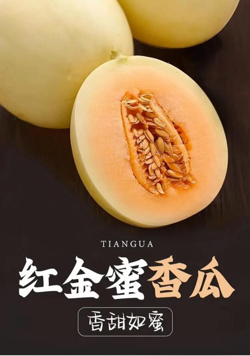 【热卖】安阳精品红金蜜甜瓜/货源充足价格实惠欢迎来电
