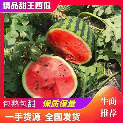 安徽宿州精品甜王西瓜/优质瓜/包熟包甜/可代发全国