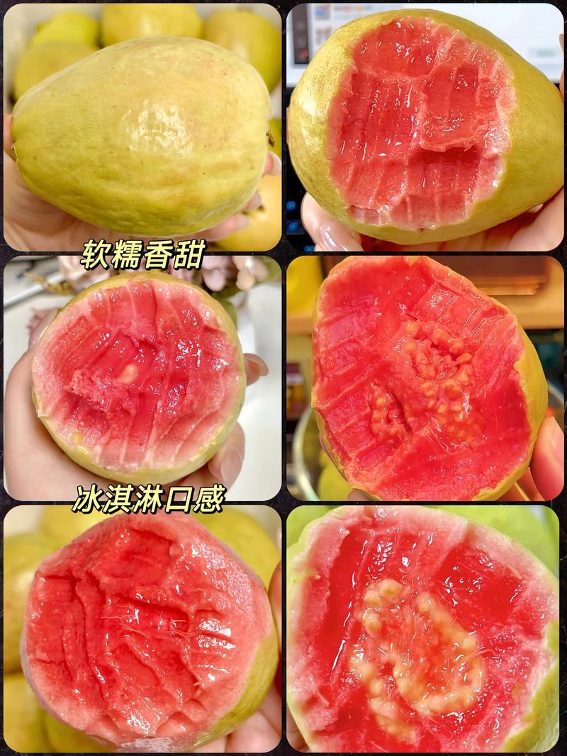 精品番石榴红心芭乐基地一手货源全国发货可视频