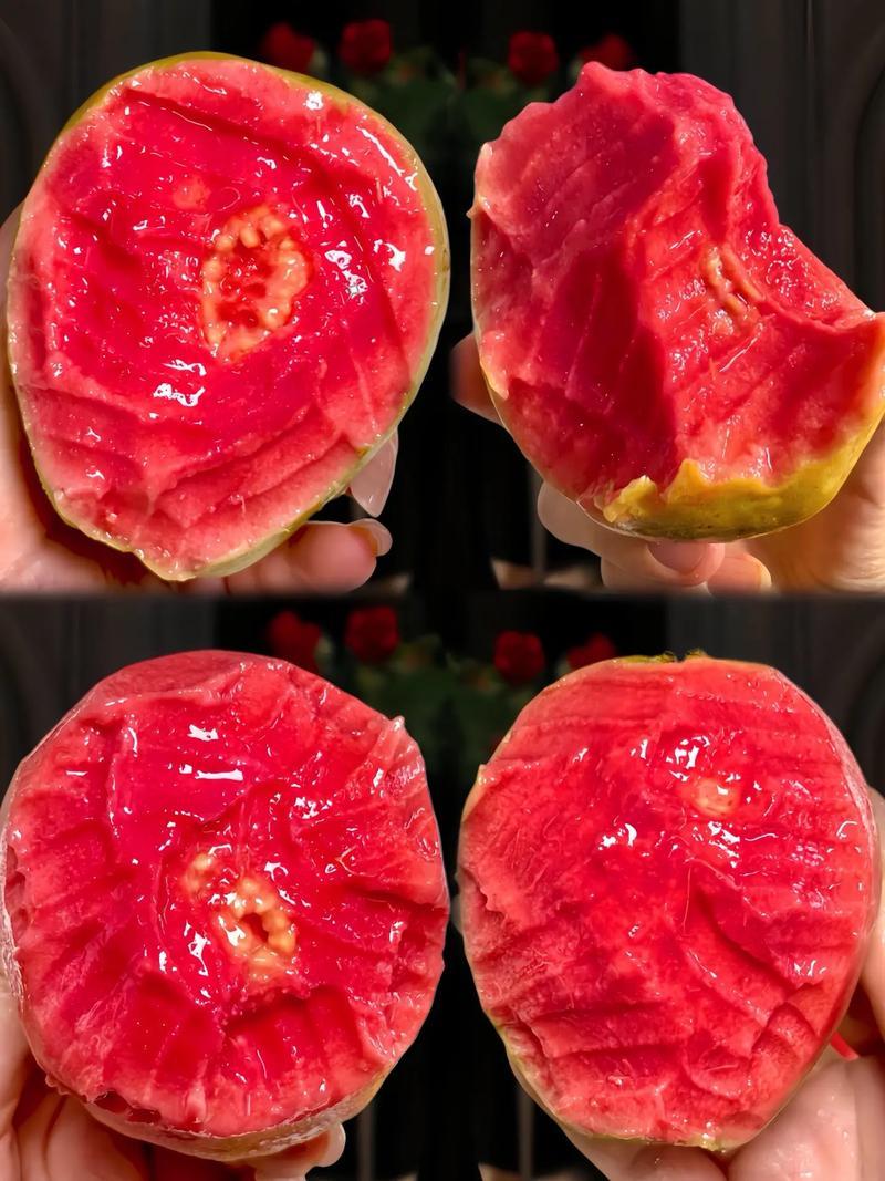 精品番石榴红心芭乐基地一手货源全国发货可视频