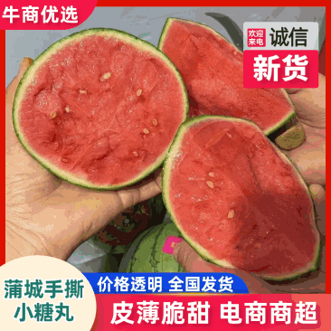 【热门】小糖丸小吊兰冰激凌西瓜手撕西瓜现摘现发包熟包甜