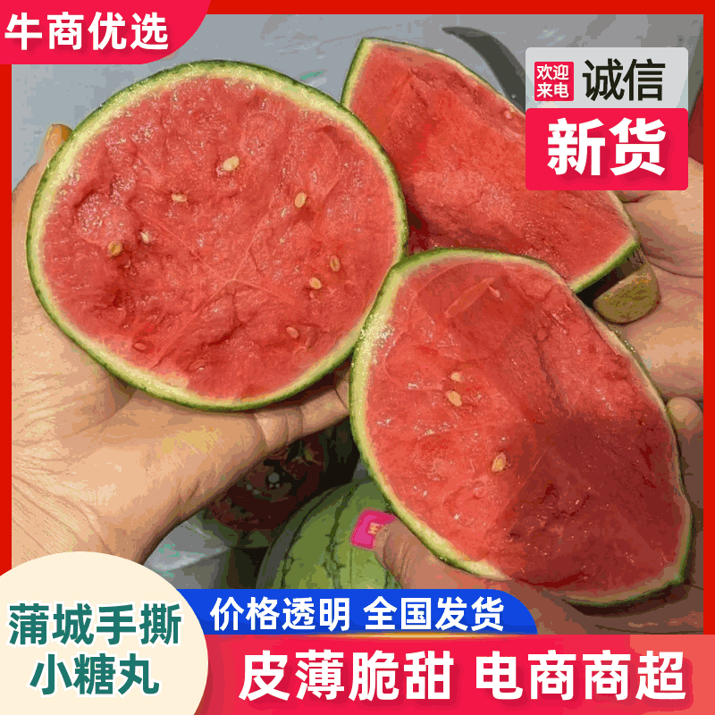 【热门】小糖丸小吊兰冰激凌西瓜手撕西瓜现摘现发包熟包甜