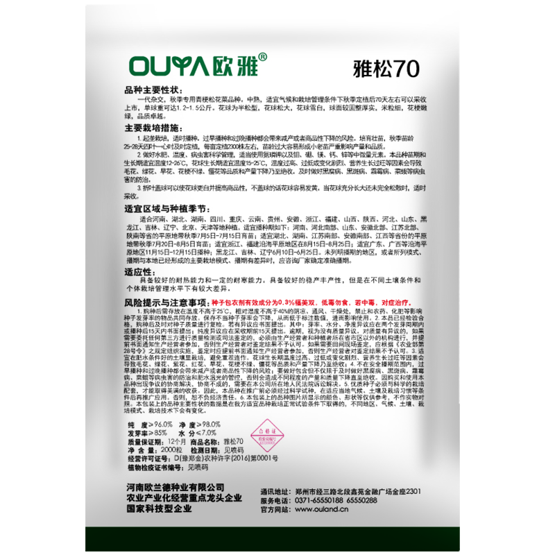 青梗松花菜种子散花菜种子耐热花椰菜白花菜种子籽菜花种子