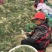 【麦冬种苗】带根不带果基地直供批发零售货源充足