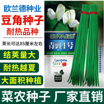 耐热长豆角种子越夏耐高温河南搭架长豆角种高产豇豆角种子