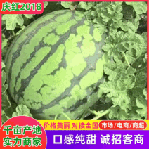 四川江油市庆红2018西瓜庆红系列西瓜包熟包甜可看货