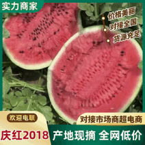 庆红2018西瓜新鲜供应四川绵阳庆红系列精品瓜现摘现发