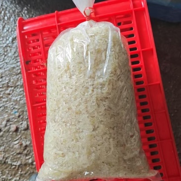 山东芥菜丁厂家直发常年供应源头工厂一手货源可视频