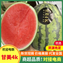 【精品】湖北西瓜甘美4k西瓜基地直供物美价廉欢迎来电