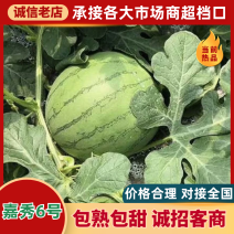 【精品】湖北西瓜嘉秀6号西瓜大量上市价格美丽全国发货