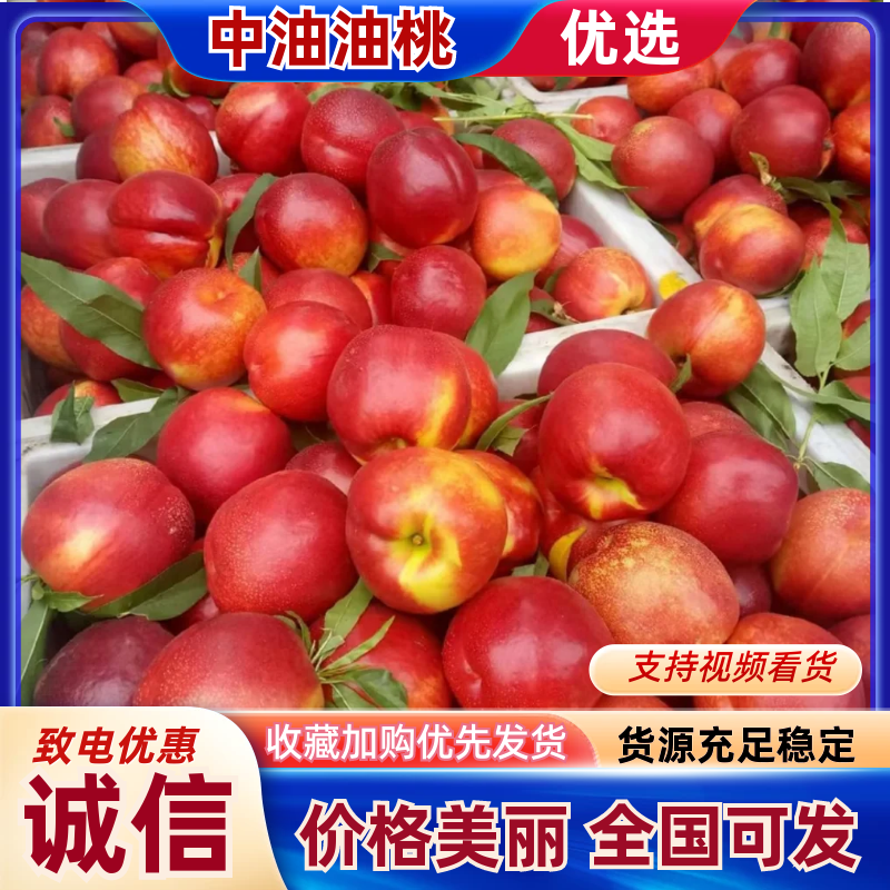 中油油桃湖北油桃现货供应规格齐全价格便宜全国发货