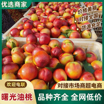 【曙光油桃】湖北襄阳基地直供质量保证一手货源欢迎订购