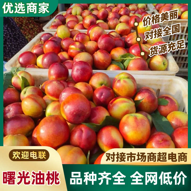 《精选》曙光油桃/湖北油桃/现货供应/价格便宜/全国发货