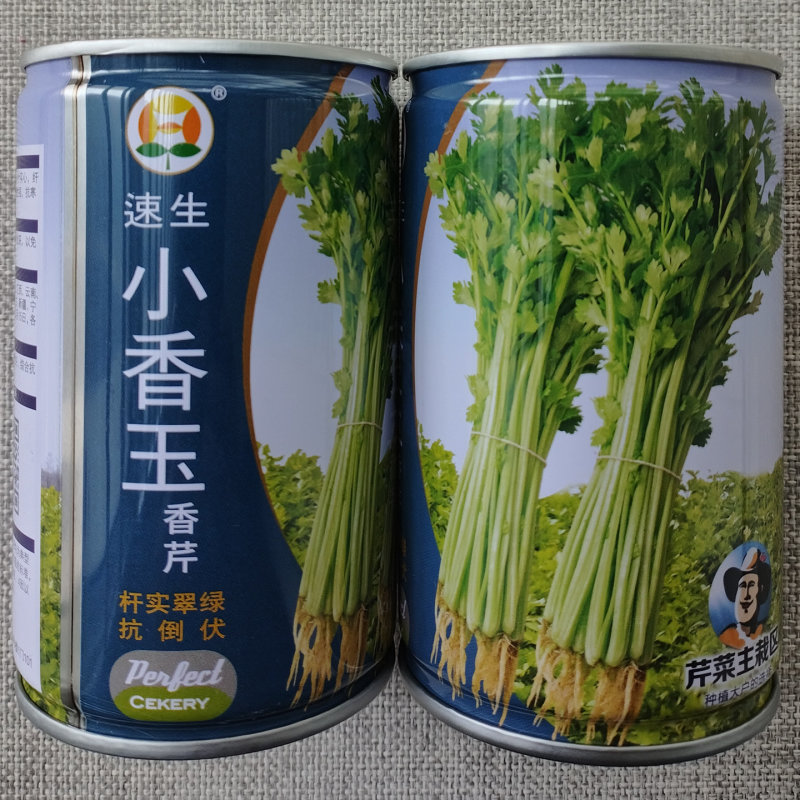 速生小香玉香芹种子优质小叶实心芹菜种籽小西芹翠绿鲜嫩抗病