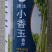 速生小香玉香芹种子优质小叶实心芹菜种籽小西芹翠绿鲜嫩抗病